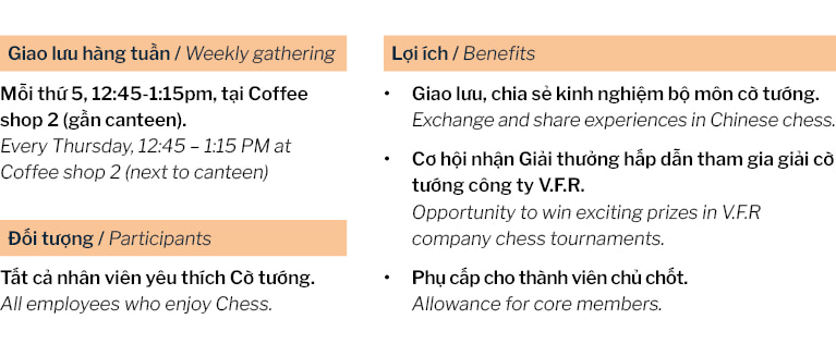 CLB CỜ TƯỚNG V.F.R (5)